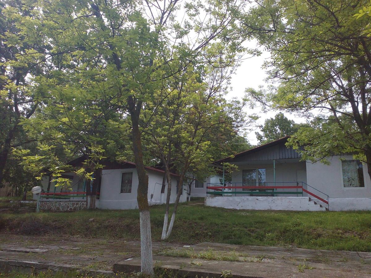 Elit Holiday Village 奥布佐尔 外观 照片