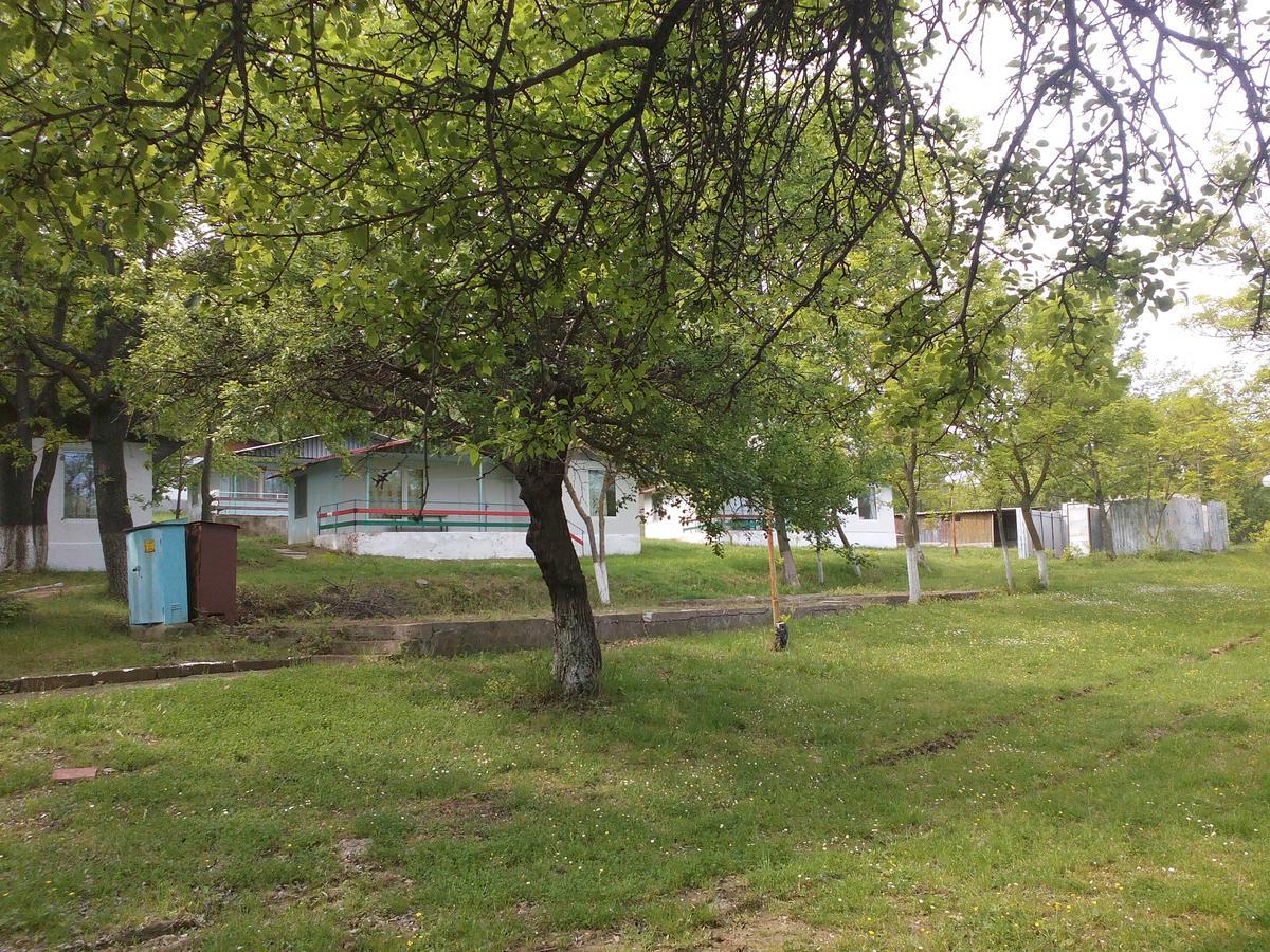 Elit Holiday Village 奥布佐尔 外观 照片